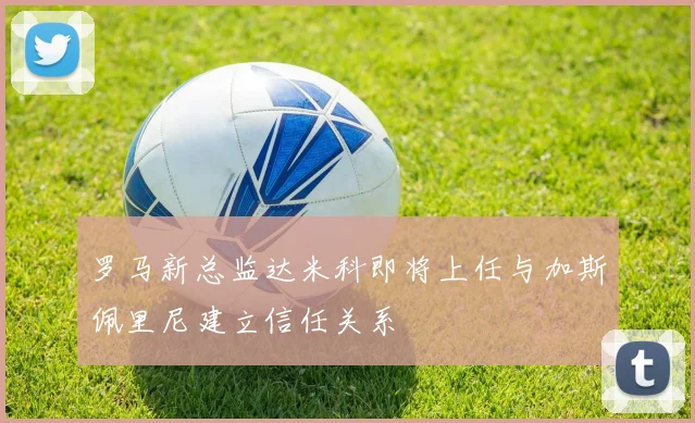 罗马新总监达米科即将上任与加斯佩里尼建立信任关系