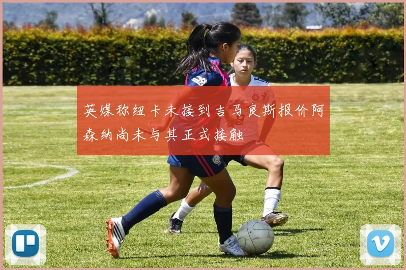 英媒称纽卡未接到吉马良斯报价阿森纳尚未与其正式接触